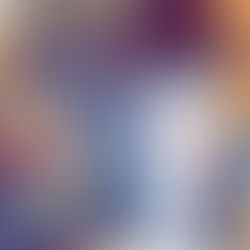 Book Launch Party Doubles as Fundraiser for Homeless to Home