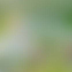 Leave Them Be—It’s Baby Season!