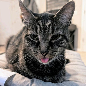 A Love Story and A Birthday