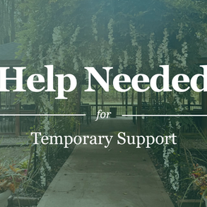 A Temporary Season of Help at The Woods