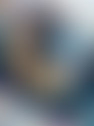 Final Raffle Reveals: Scent, Story, and Something You Can’t Get Anywhere Else