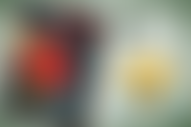 My First Bad Review (And the Spiral That Came With It)