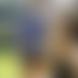 A Heart for Cats: Eagle Scout Project Brings Shelter, Love, and Leadership