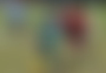 FREDS GET SOME CLOSURE AFTER SPECTACULAR JOURNEY