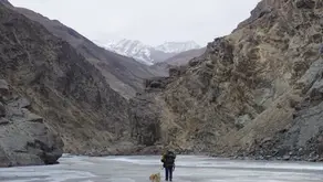 インド最北部の冬