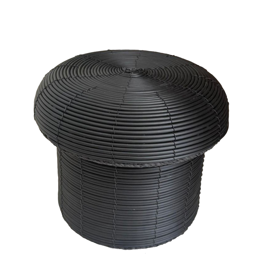 Miniatura: Toco Hongo