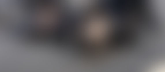 Three Pups and a Mom