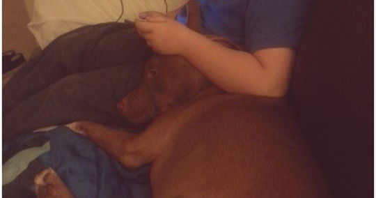 A Boy and His Best Friend