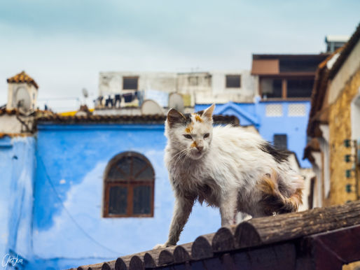 Chefchaouen