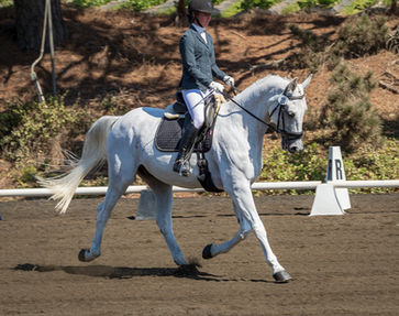 Anne Warner on her first dressage horse, Bogey