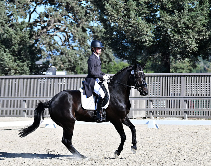 Anne Warner competing Grand Prix on Fioretto doing dressage pirouette