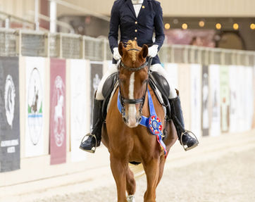 Anne Warner on Sundance, 2025 CDS Region 7 Open Fourth Level Freestyle Champion