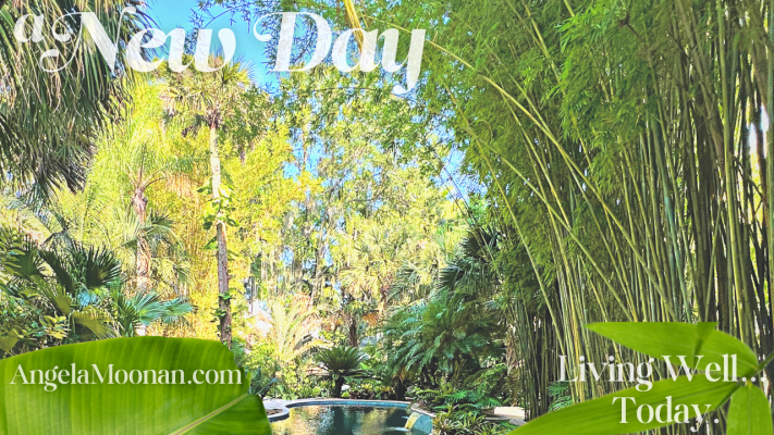 a new day angela moonan living well today