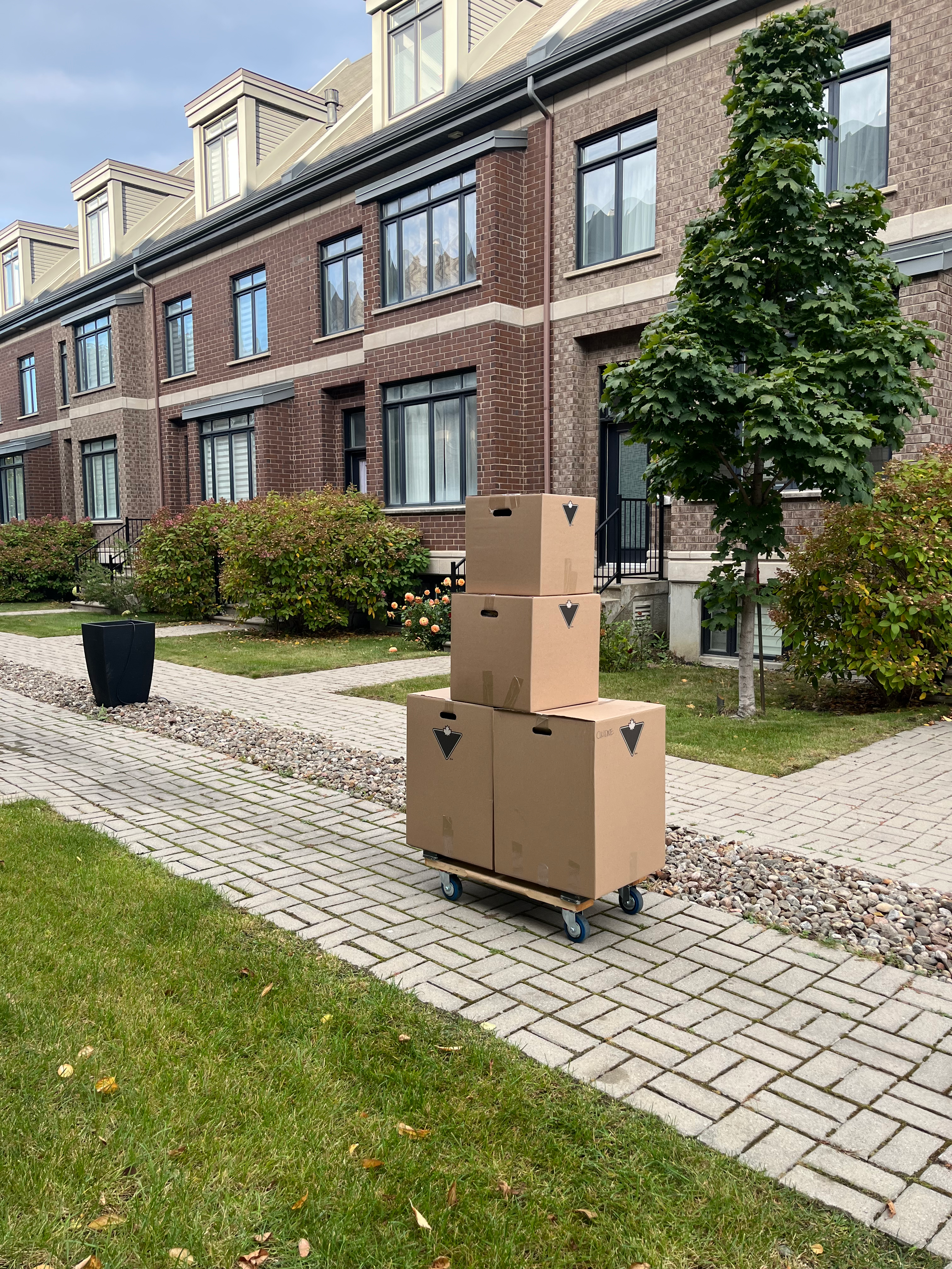 Writer: demenagementvif