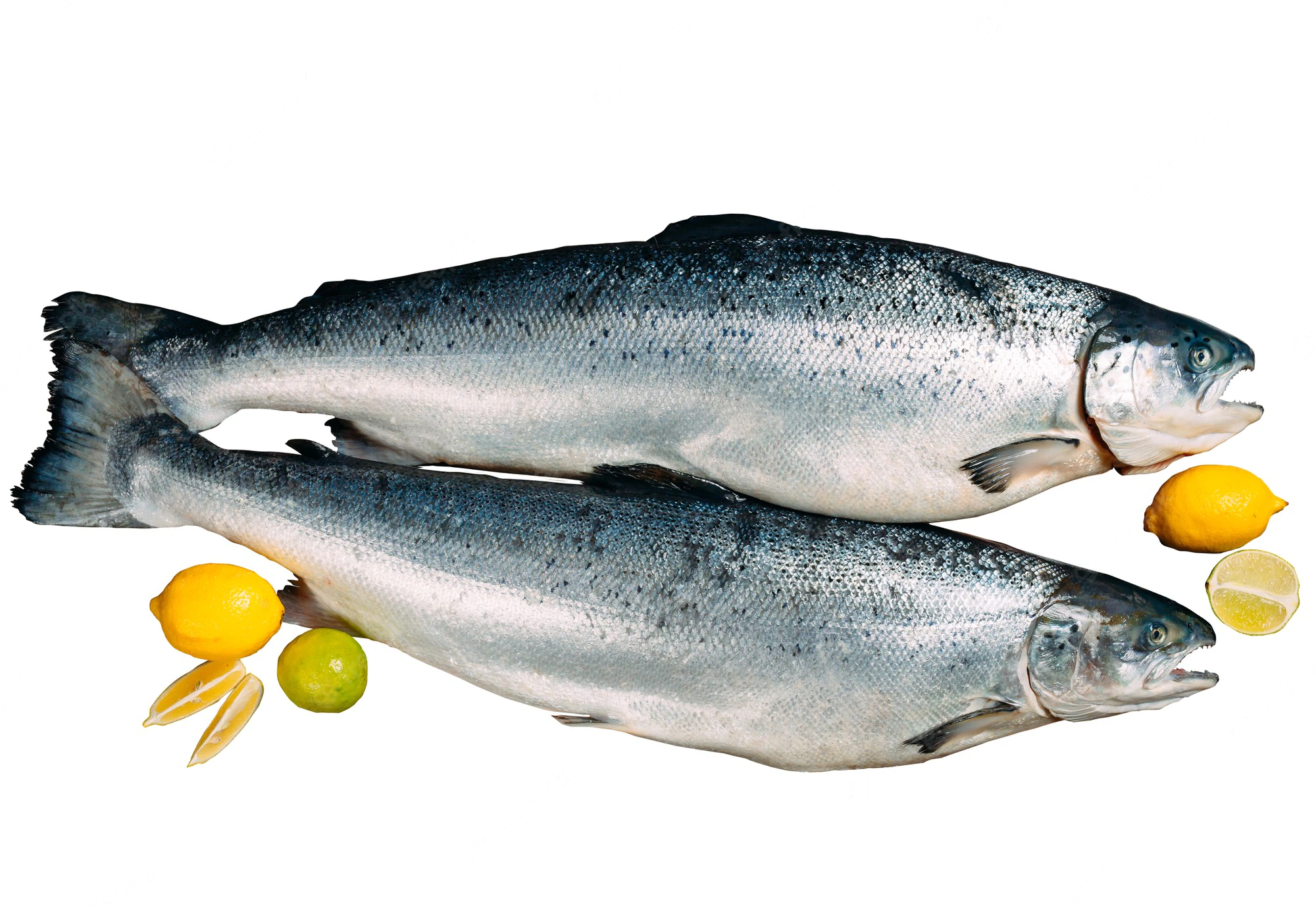 poisson-saumon-frais-isole-fond-blanc_109285-9687.webp