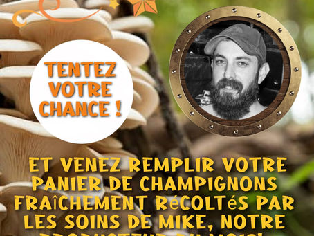 Novembre 2021
