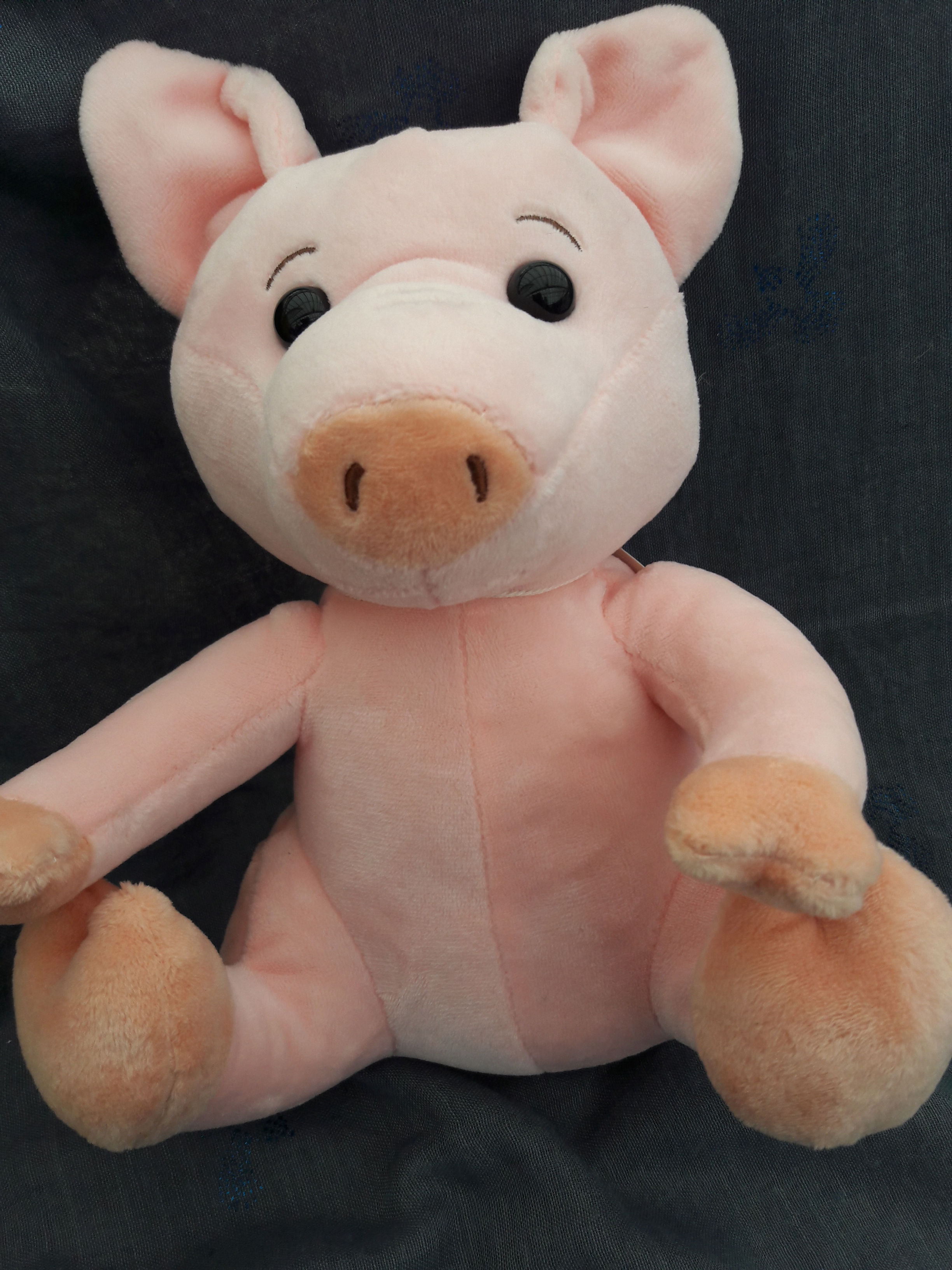 Pig Soft Toy (approx 20cm tall)