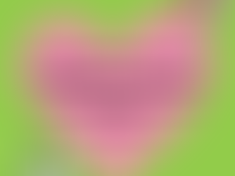 ¿Sabemos lo que es realmente el amor propio?