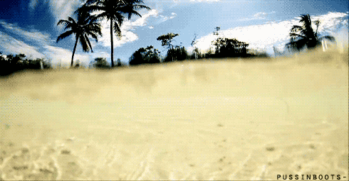 giphy.gif