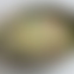 Sun-dried Tomato, Spinach and Ricotta Pasta Salad