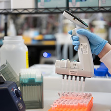 23 - 246 SalmoSim 009.JPG