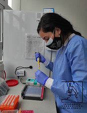 Lab_4.jpg