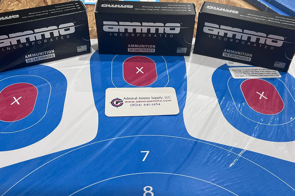 Paper targets with ammo