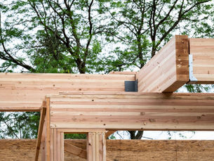 Glulam vs. LVL: What’s the Difference and When Should You Use Each One?