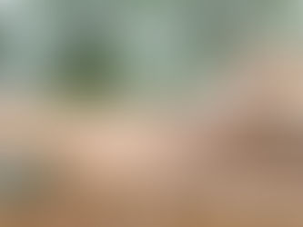 Glulam vs. LVL: What’s the Difference and When Should You Use Each One?