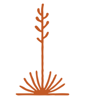 14.png
