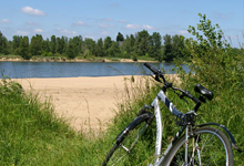 Les activités sportives