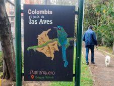 En la BOG25, el colectivo artístico y barrial Nea busca proteger el río Vicachá