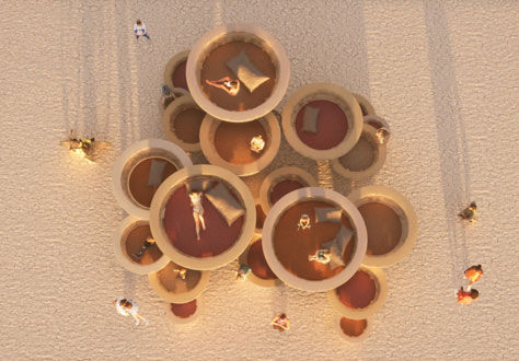 Nebula Shroom Grove, hongos para devolver la calma, en Burning Man