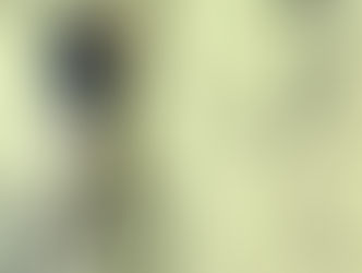 En el 47 Salón Nacional de Artistas (47SNA), el poder de las palabras y los libros como territorio