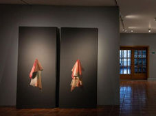 Ćltimos dĆas para ver āLa piel del tiempo, un retrato sin nombreā de Diego DĆaz