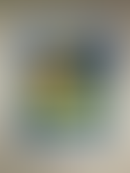 Curada por Alejandro Triana,'Transformaciones de una ciudad por habitar' acoge a 51 artistas que buscan a través del arte contar y retratar los cambios de una metrópoli como Bogotá.