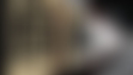 Los olvidos que nos hermanan: un mural hecho entre artistas colombianos y mexicanos 