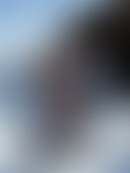 BearSki_Vid - Sample