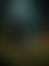 ForestTroll_02_Vid - Sample