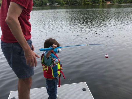 An abundance of fishes and ….