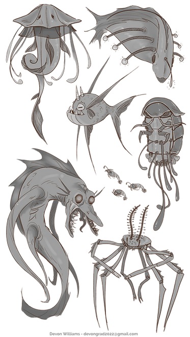 IMG_2343_edited.png