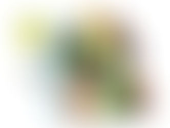 ICMS-ST sobre bebidas quentes: o que mudou e como isso afeta você?