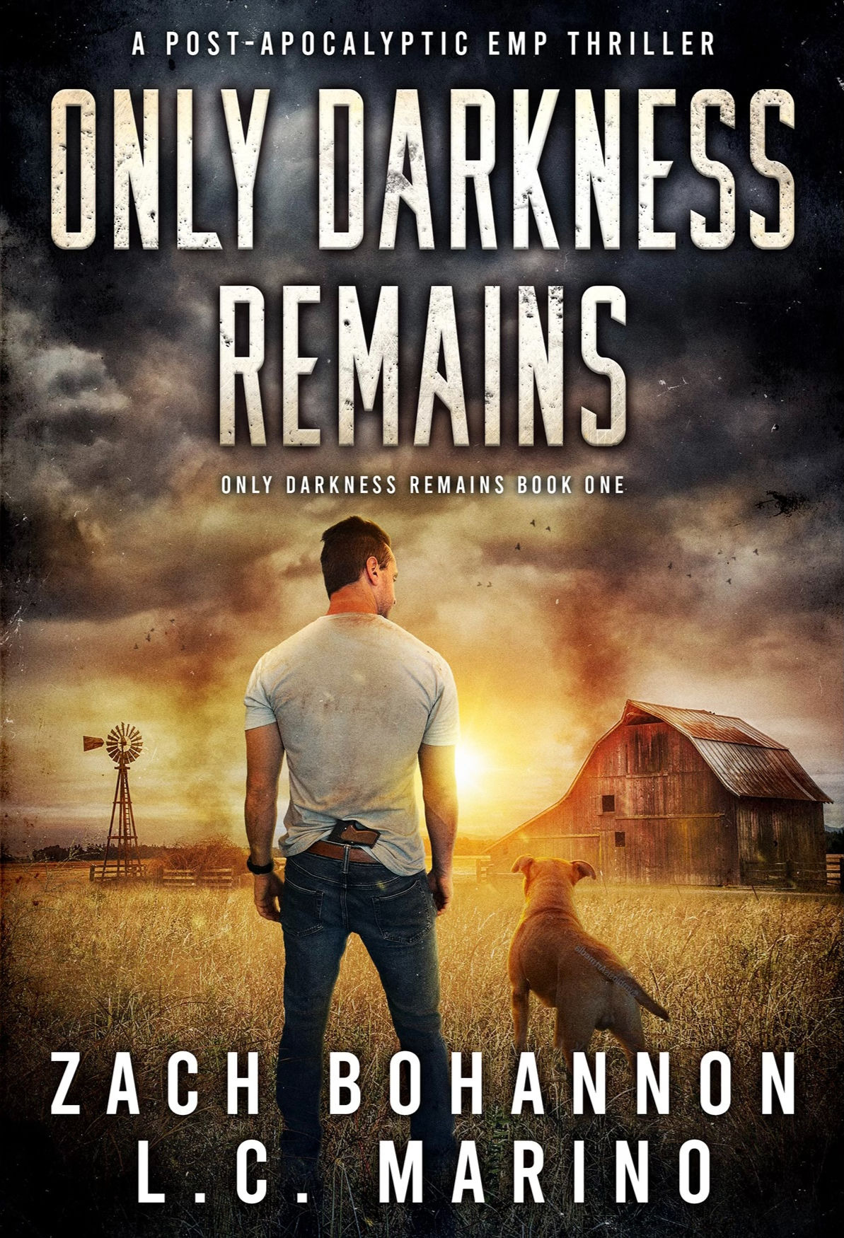 Only Darkness Remains - Signed Paperback