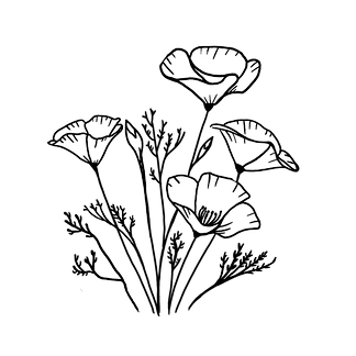 (Lisa Ortman) Poppy Grove Brand Kit.png