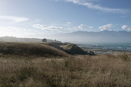 Kaikoura_.jpg