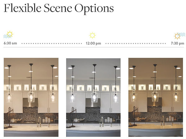 flexible-scene-options_at-home_edited.jp