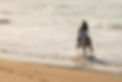 lady-horse-ride-beach-back-view-young-42083700.jpg
