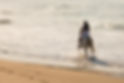 lady-horse-ride-beach-back-view-young-42083700.jpg