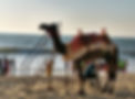 Malpe_Beach_Udupi_india.jpg
