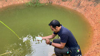 De metagenómica y bacteriófagos